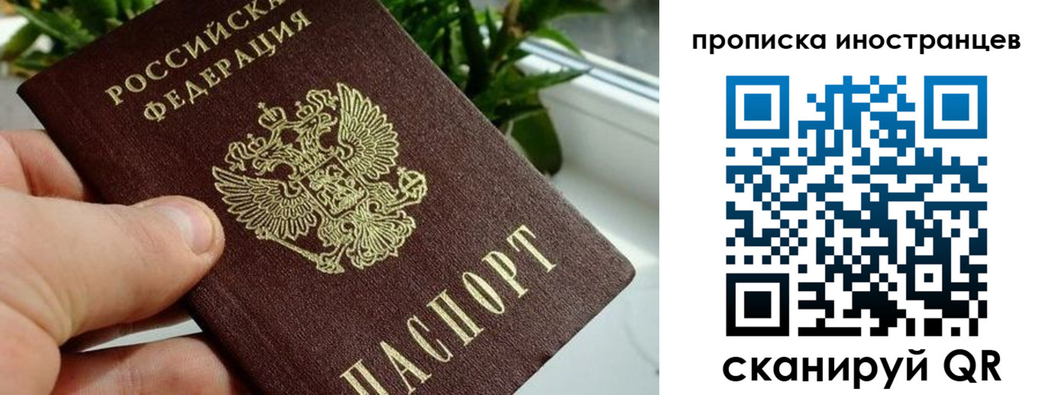 временная регистрация в Бабаево