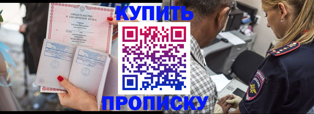 прописка законно в Бабаево